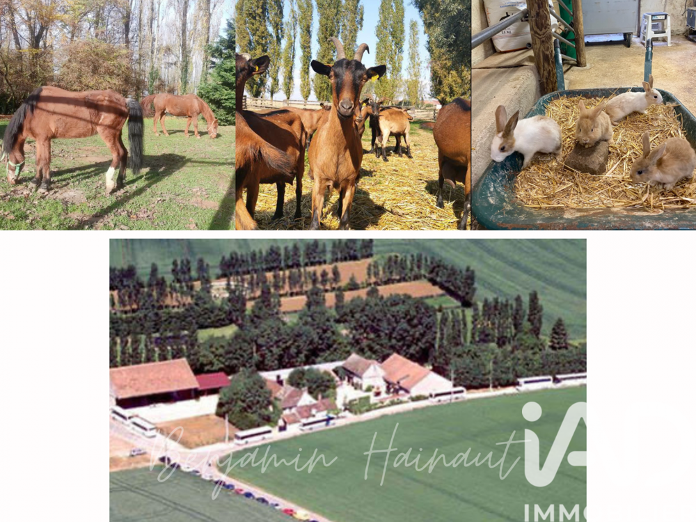 � vendre  Maison Saint-Hilliers (77160)