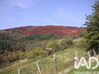  Terrain � vendre 114725 m�