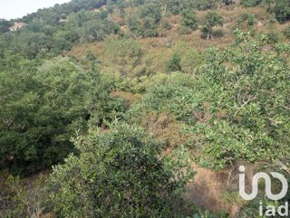  Terrain � vendre 6500 m�