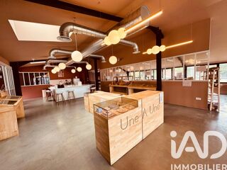  Immeuble � vendre 620 m�