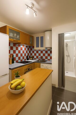  Appartement � vendre 2 pi�ces 35 m�