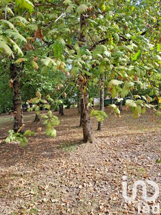  Maison � vendre 4 pi�ces 304 m�