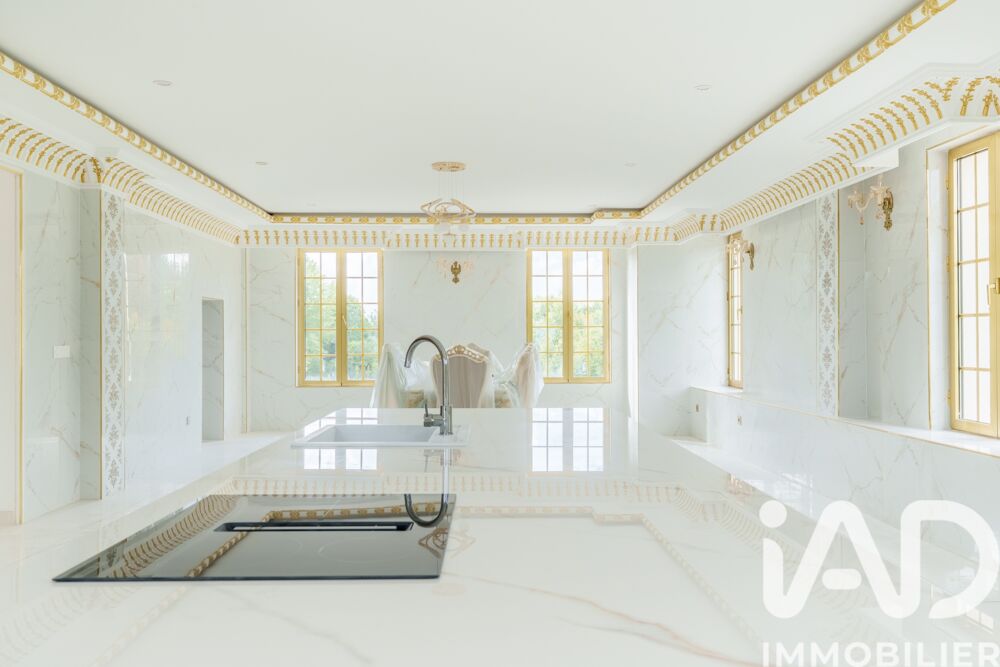 � vendre  Propri�t�/ch�teau Saint-Pouange (10120)