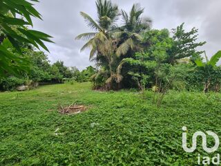  Terrain  vendre 1196 m