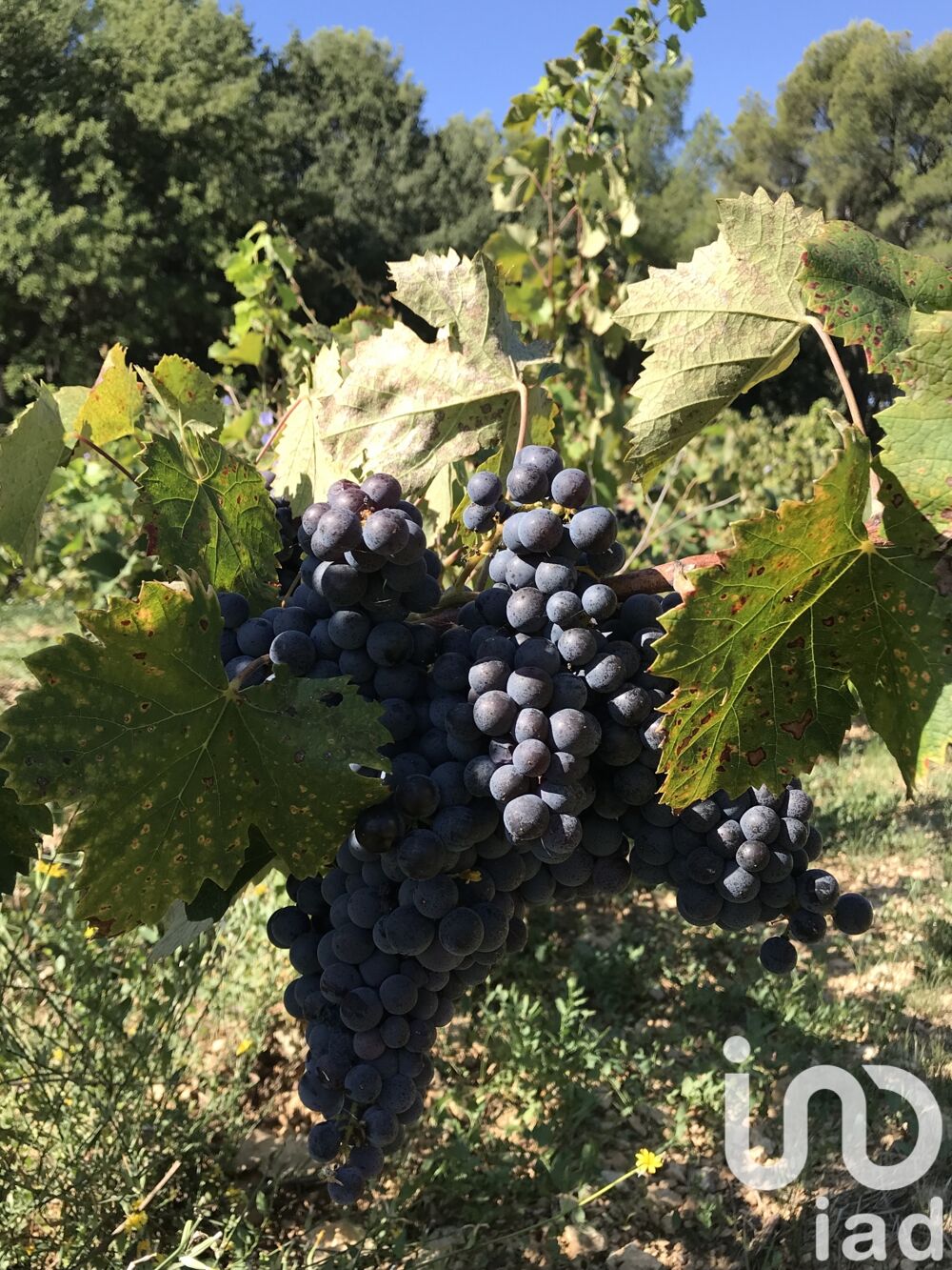  vendre  Maison Le Castellet (83330)