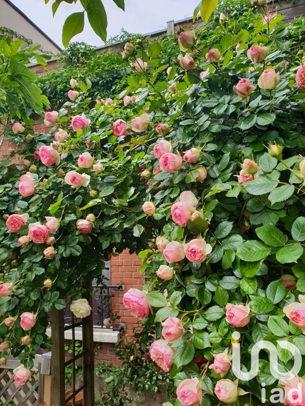 � vendre  Maison Bourg-la-Reine (92340)