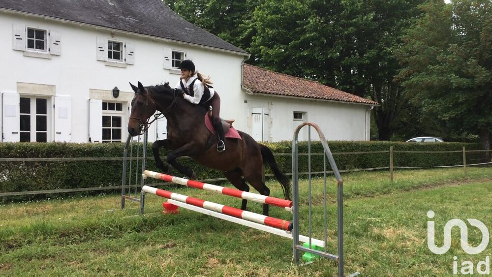  vendre  Maison Saint-Laurent-de-Cognac (16100)