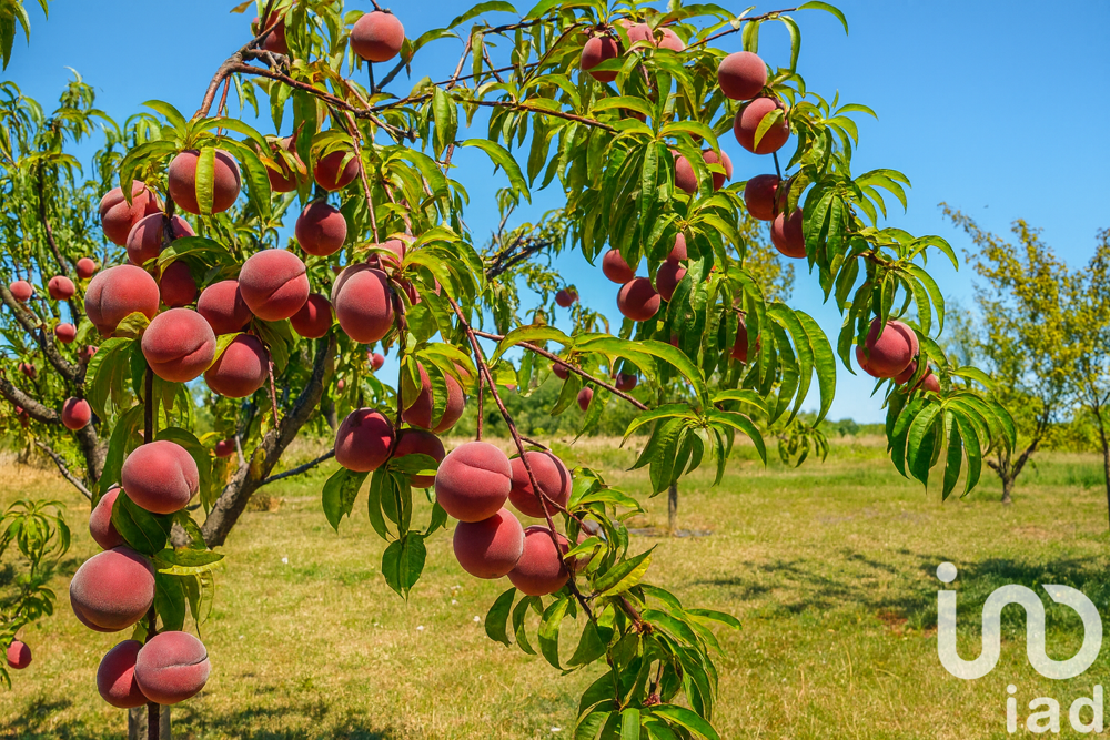  vendre  Maison Presles-en-Brie (77220)