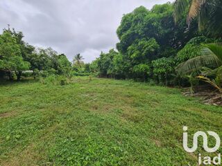  Terrain  vendre 1196 m