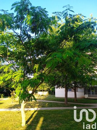  Appartement � vendre 3 pi�ces 56 m�