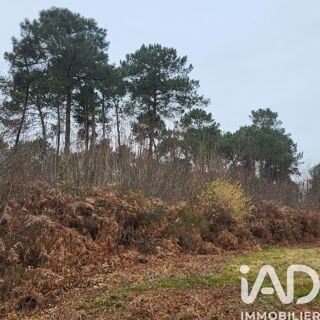  Terrain � vendre 44000 m�