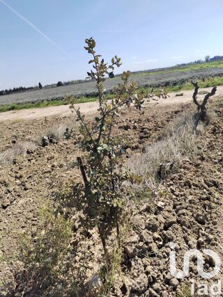  Terrain � vendre 4952 m�