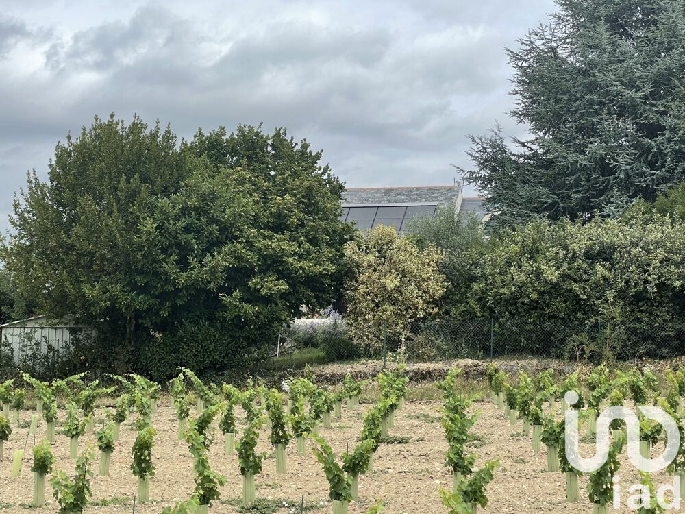  vendre  Villa Montreuil-Bellay (49260)