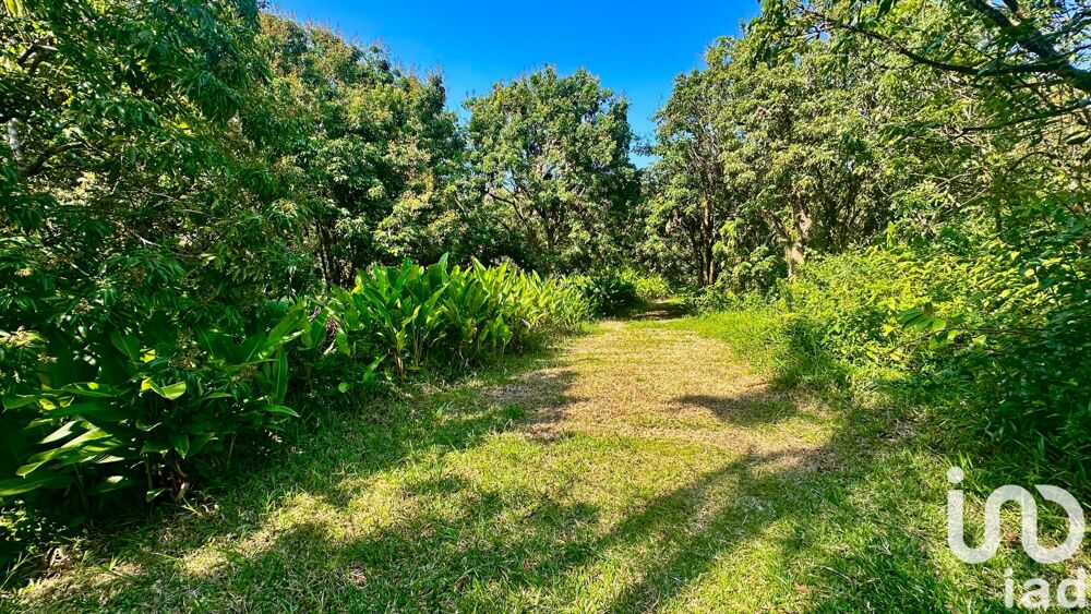 � vendre  Maison Saint-Beno�t (97470)