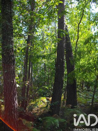  Terrain � vendre 4400 m�