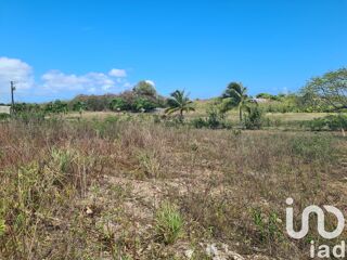  Terrain  vendre 1063 m