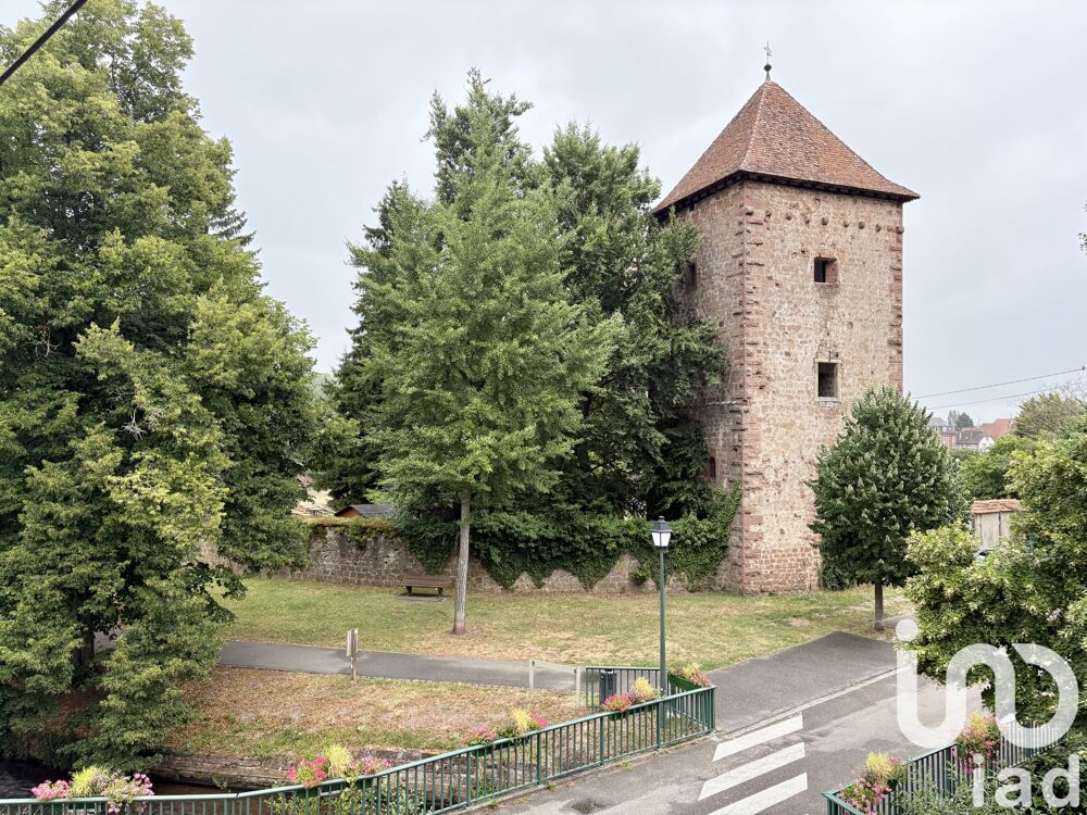 vendre  Maison Wissembourg (67160)