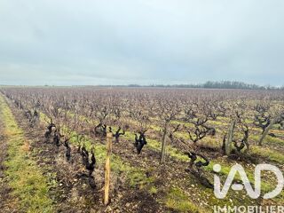  Terrain � vendre 24342 m�