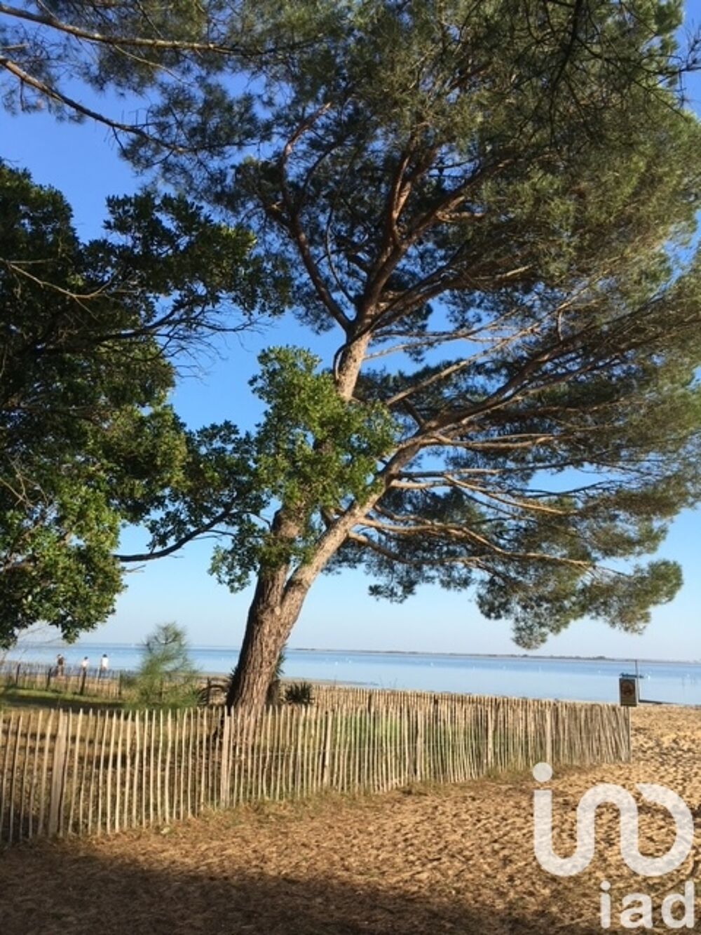  vendre  Maison Lge-Cap-Ferret (33950)