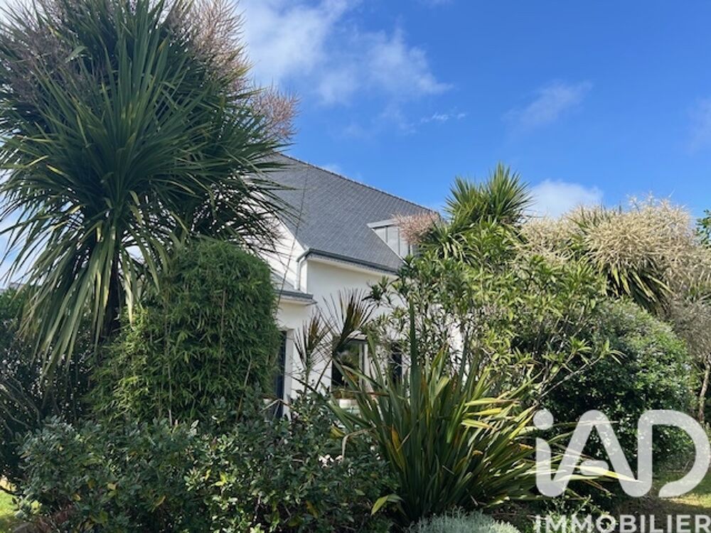 � vendre  Villa Baden (56870)