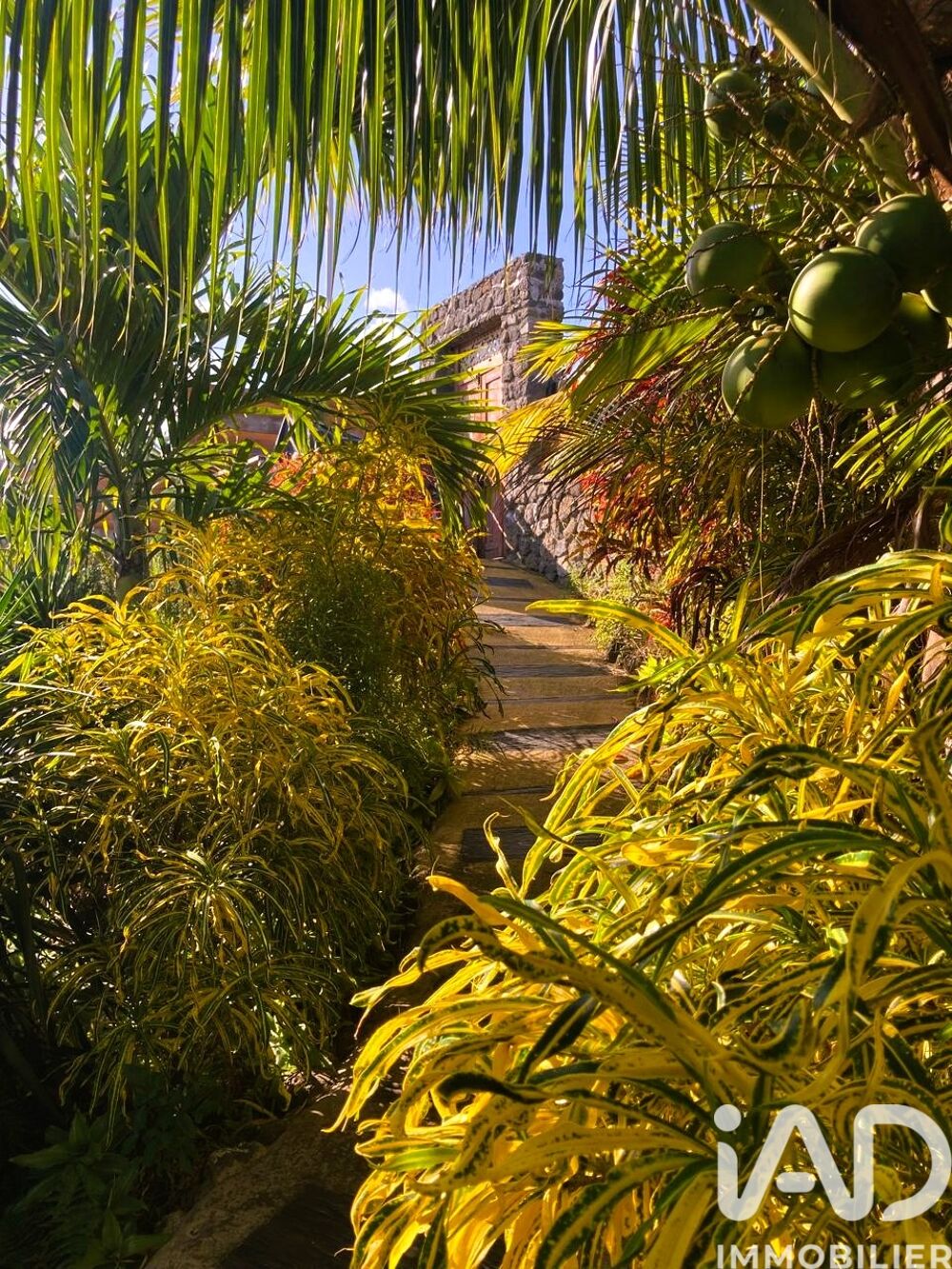 � vendre  Maison Saint-Pierre (97410)