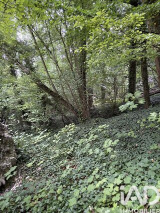  Terrain � vendre 10604 m�