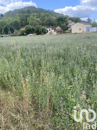  Terrain � vendre 3116 m�