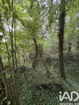  Terrain � vendre 10604 m�