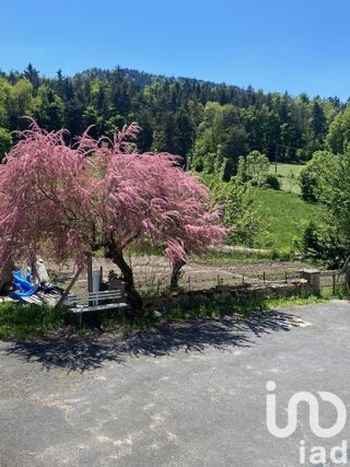  Maison � vendre 15 + pi�ces 245 m�