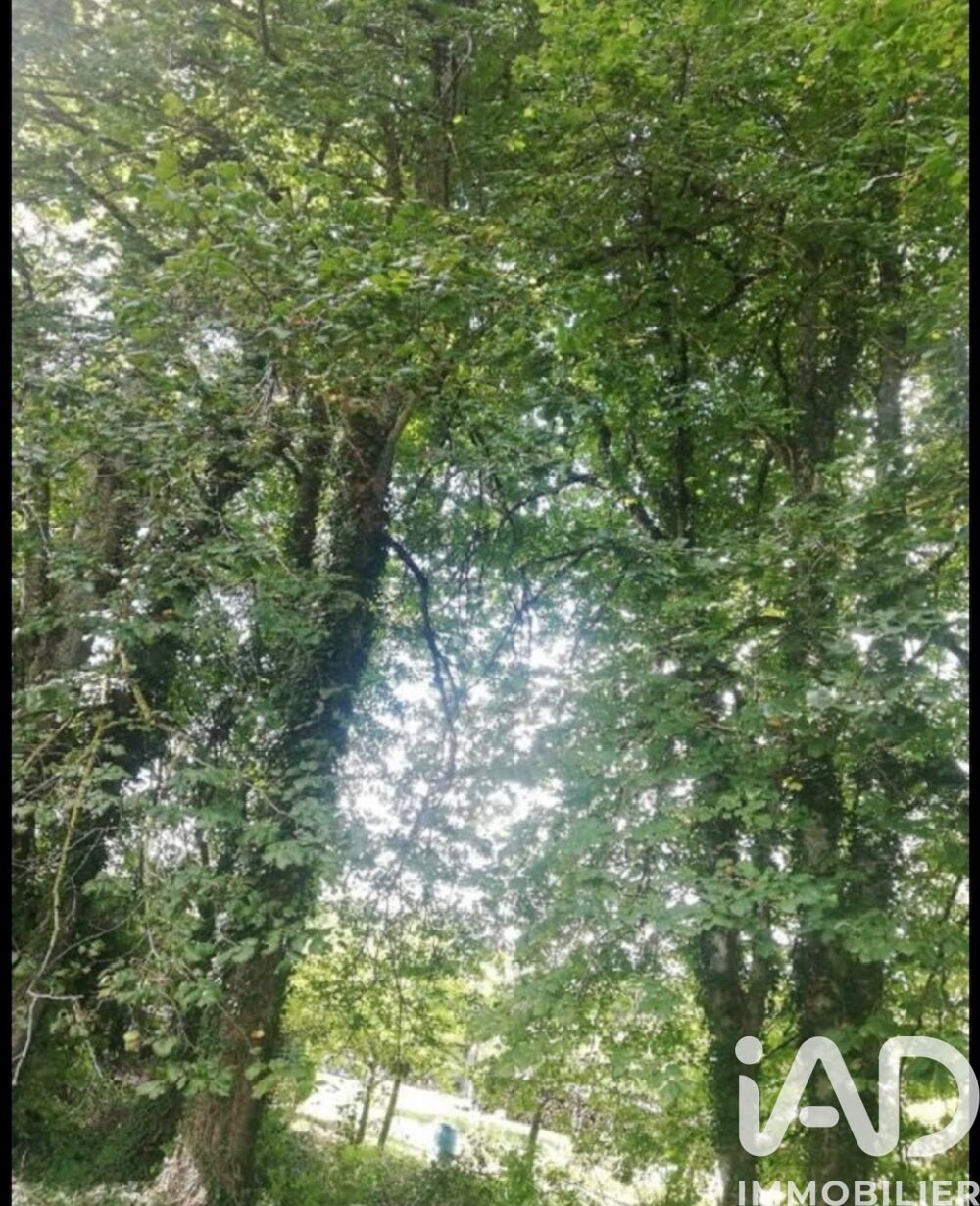 Vente Terrain Vente Terrain � b�tir 5 430 m&sup2; Saint-phal