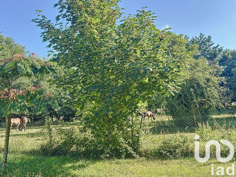  vendre  Maison Saint-Av (56890)