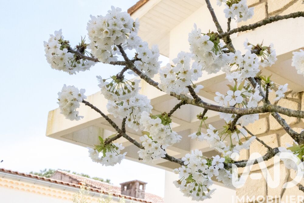 � vendre  Maison Royan (17200)