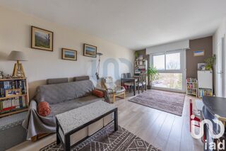  Appartement Chevilly-Larue (94550)