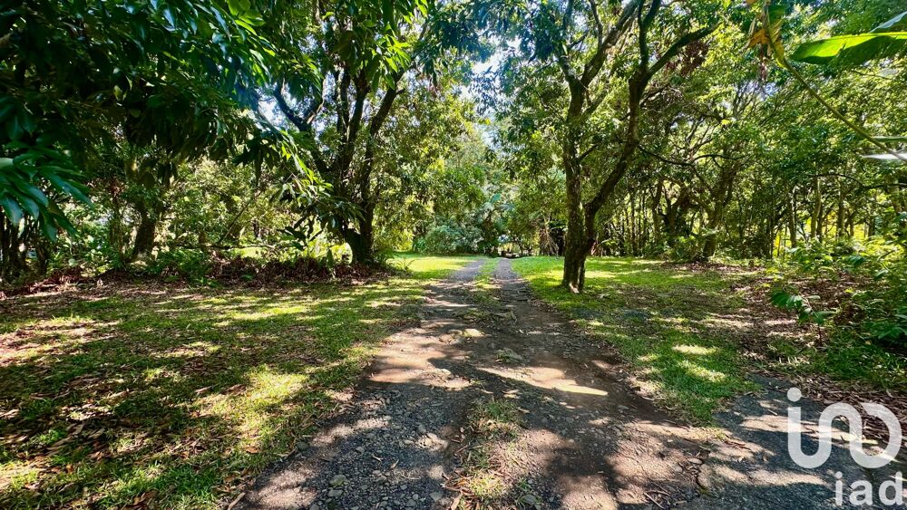 � vendre  Maison Saint-Beno�t (97470)