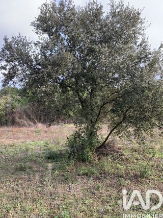  Terrain � vendre 2565 m�