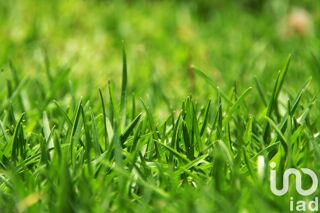  Terrain � vendre 877 m�