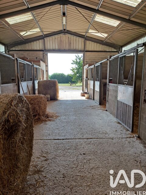   Vente Haras 21 pices Maison - 15 + pice(s) - 540 m