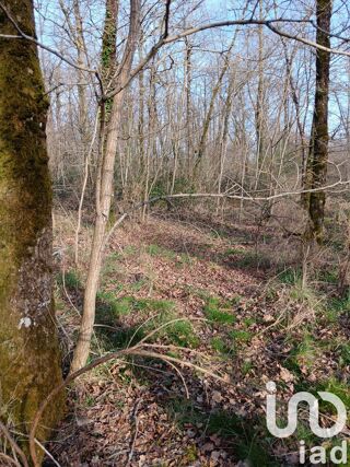  Terrain � vendre 24045 m�