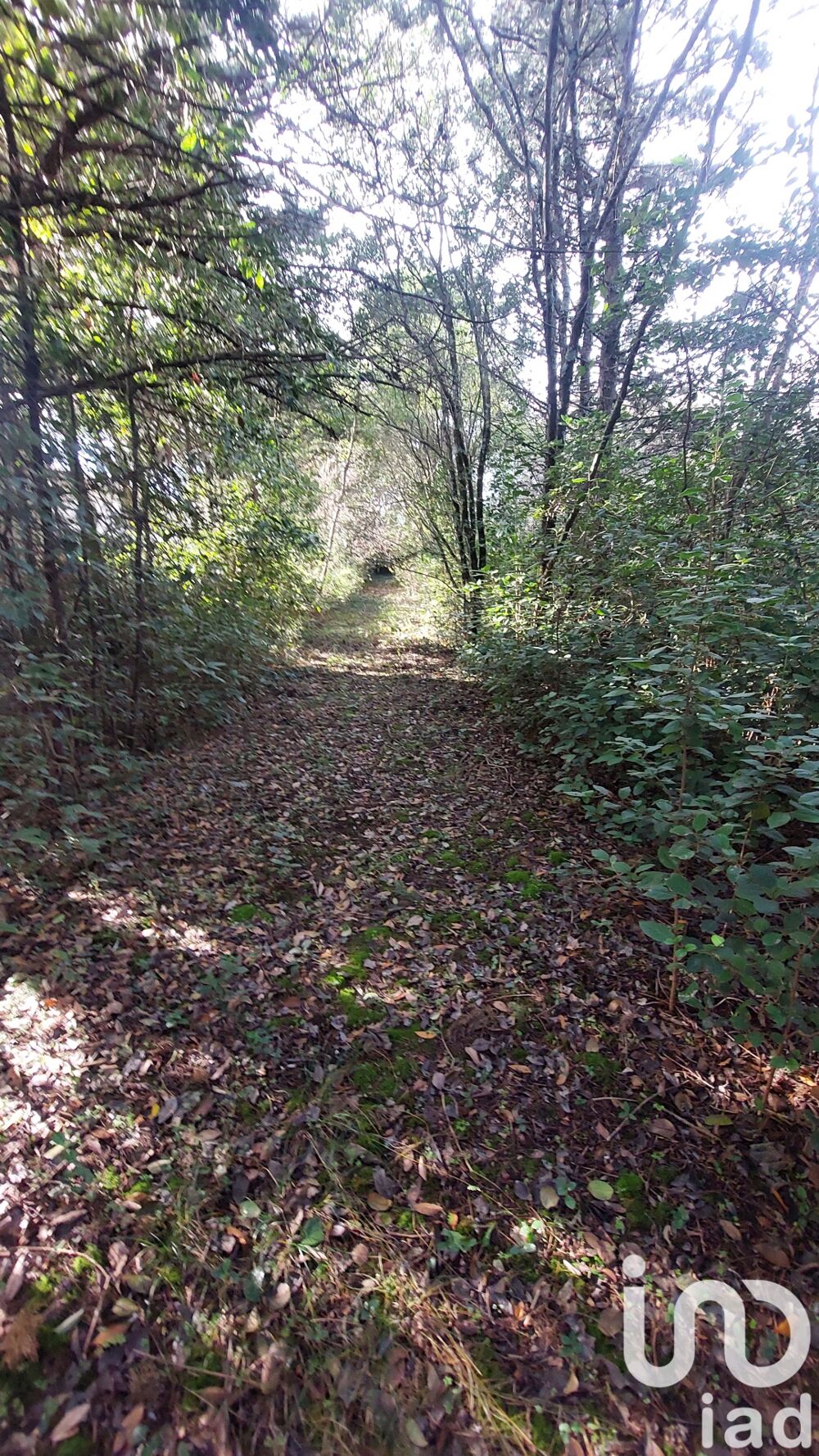  vendre  Maison Uzs (30700)