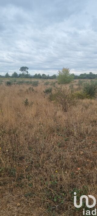  Terrain � vendre 15398 m�