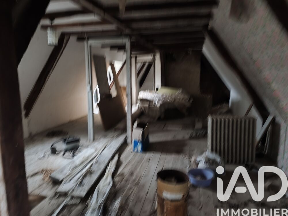 � vendre  Maison Neuill�-le-Lierre (37380)