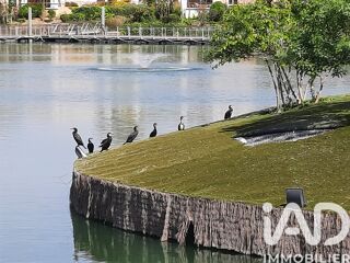  Appartement � louer 3 pi�ces 55 m�