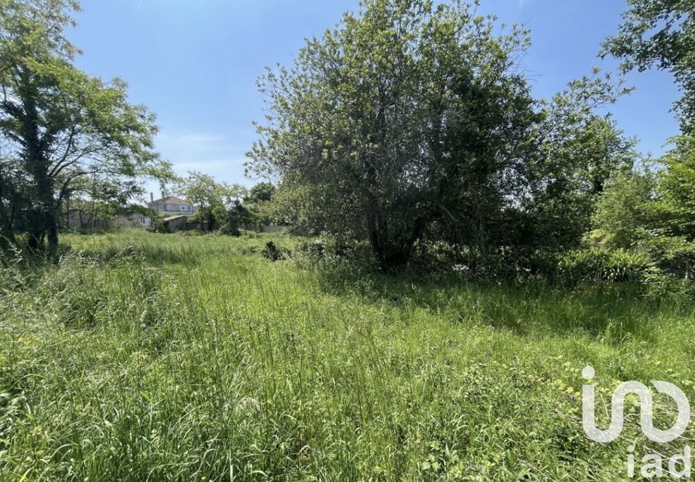 Vente Terrain Vente Terrain 4 729 m² Saint ciers sur gironde