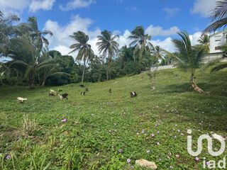  Terrain  vendre 2037 m