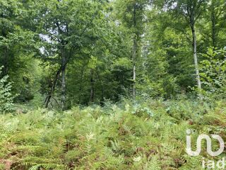  Terrain � vendre 10388 m�