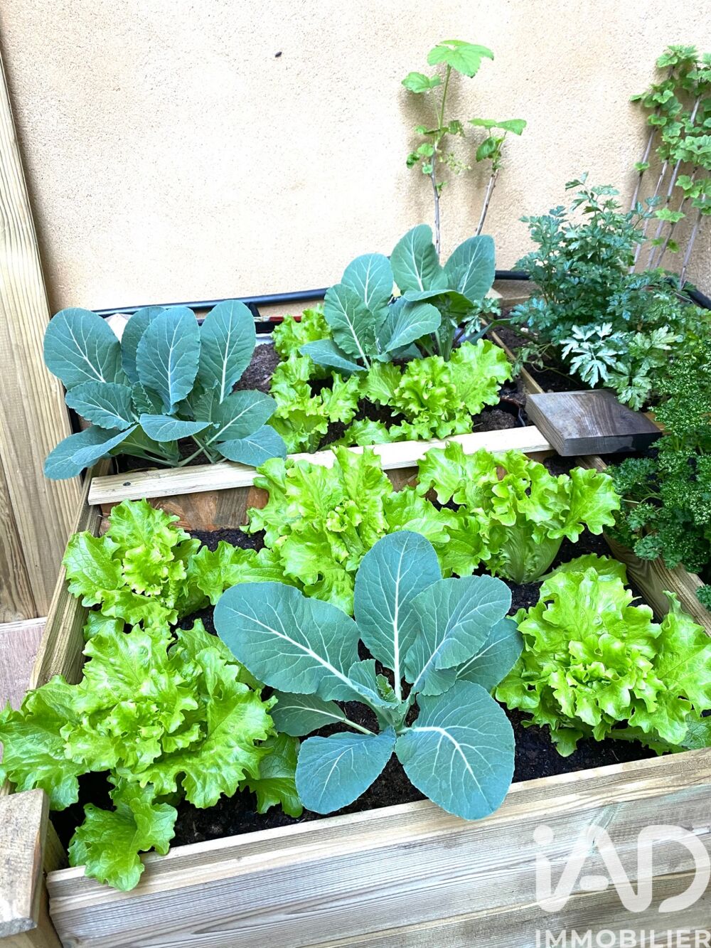  vendre  Appartement Nantes (44000)