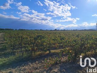  Terrain � vendre 29000 m�