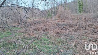  Terrain � vendre 50940 m�