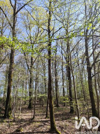  Terrain � vendre 6725 m�