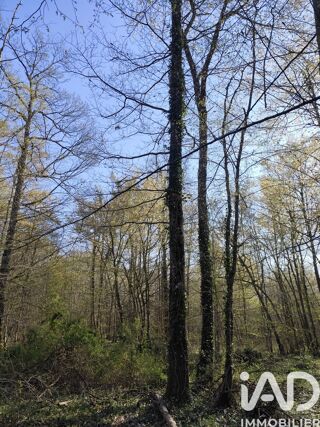  Terrain � vendre 48910 m�